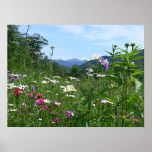 Wonderful view for the flowers poster