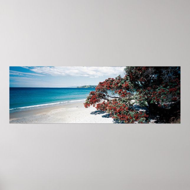 "Wonderful Waiheke" - Onetangi Beach Poster (Front)