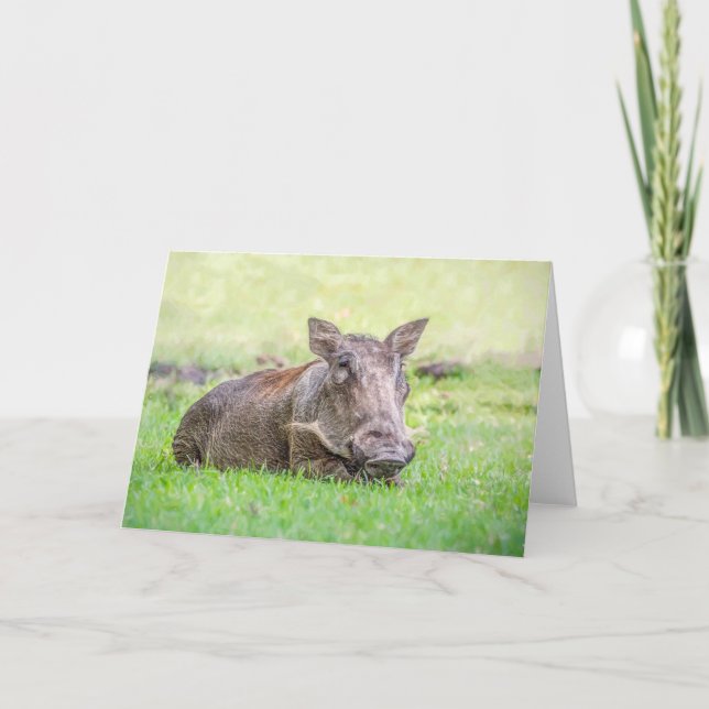 Wonderful Warthog Greeting Card (Front)