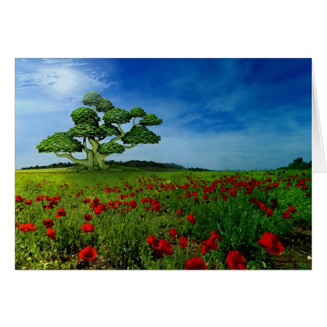 Wonderful World (Front Horizontal)