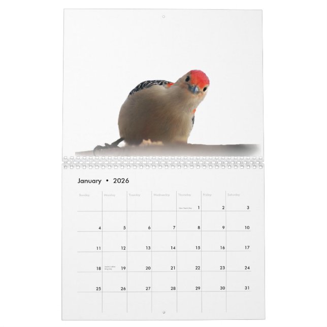 Wonderful World of Woodpeckers 2015 Calendar (Jan 2026)