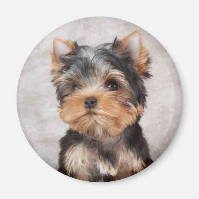 Wonderful yorkie magnet (Front)