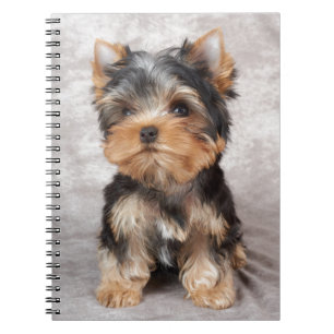 Wonderful yorkie notebook