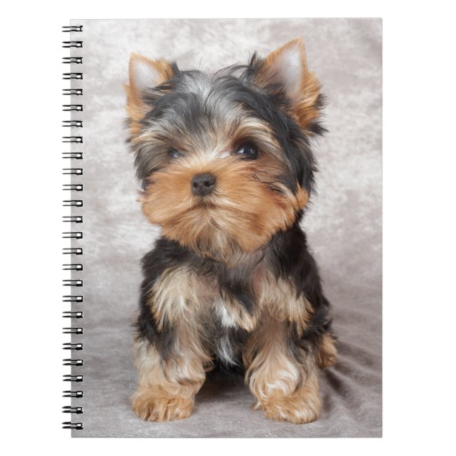 Wonderful yorkie notebook (Front)