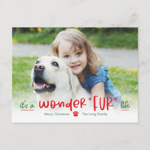 Wonderfur Life Pet Holiday Postcard