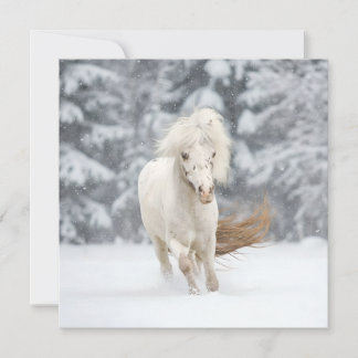 Wonderland Photo Miniature Horse Running  Card