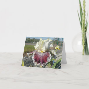 "WONDERS NEVER CEASE" Blank Iris Note Card