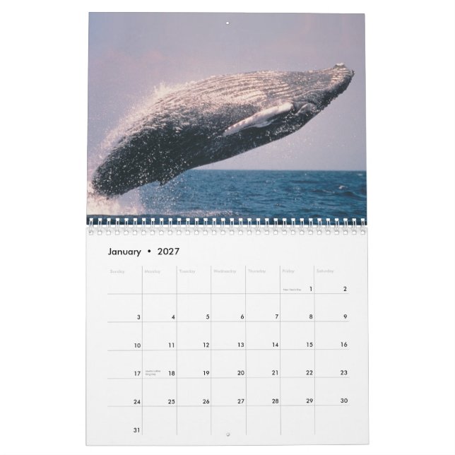 Wonders of Alaska 2012 Calendar (Jan 2027)