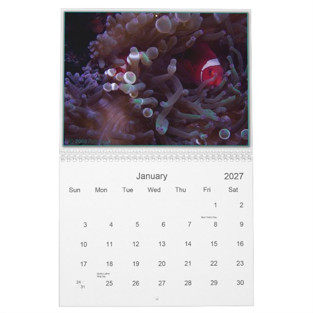 WONDERS UNDER CALENDAR (Jan 2027)