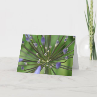 Wondrous Agapanthus Card