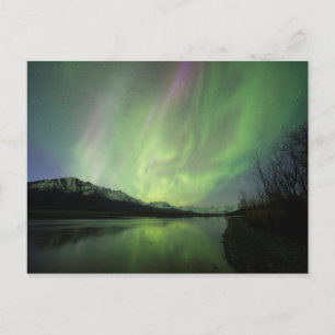 Wondrous Aurora Postcard