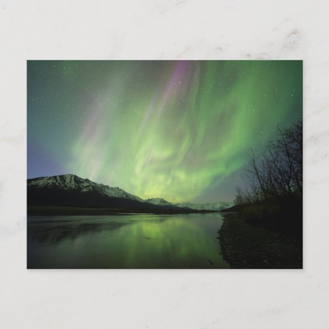 Wondrous Aurora Postcard (Front)