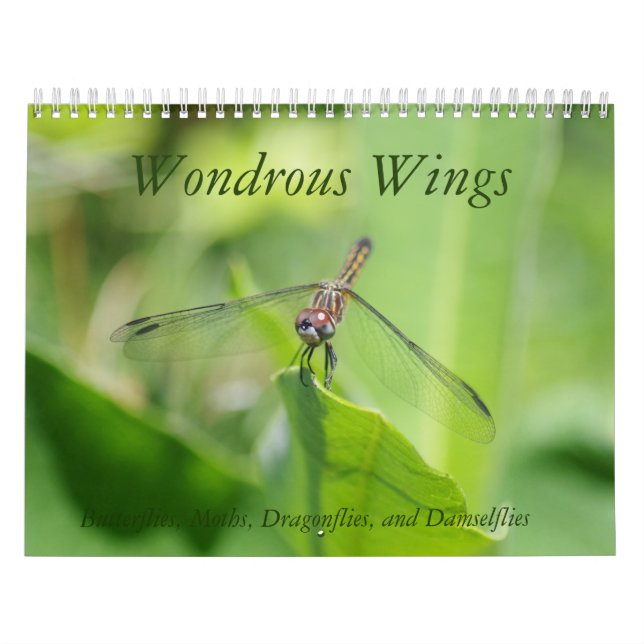 Wondrous Wings Calendar (Cover)