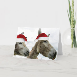 Wonkey Donkey Wishes Holiday Card