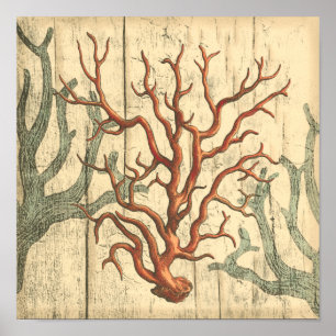 Wood and Small Coral Poster