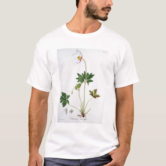 Wood Anemone from 'Phytographie Medicale' by Josep T-Shirt (Front)