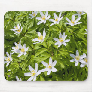 Wood Anemone Mouse Pad