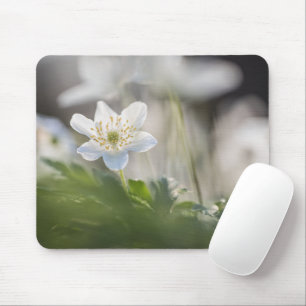 Wood Anemone Nature Photo Mouse Pad
