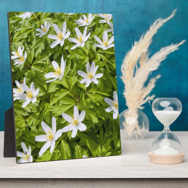 Wood Anemone Plaque (Side)