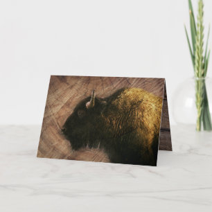 Wood Bison Buffalo Card