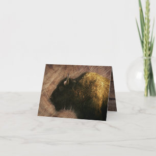 Wood Bison Buffalo Thank You Card
