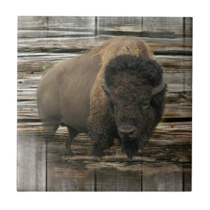 Wood Bison Ceramic Tile