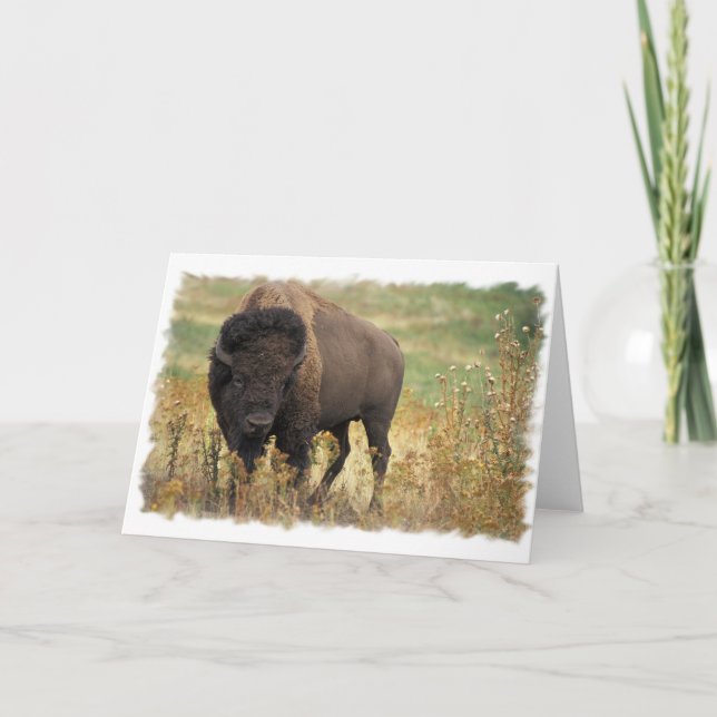 Wood Bison Greeting Card (Front)