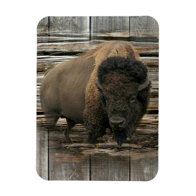 Wood Bison Magnet (Vertical)