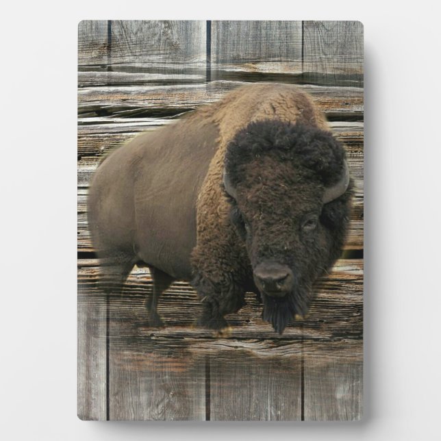 Wood Bison Plaque (Front)