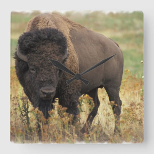 Wood Bison Wall Clock