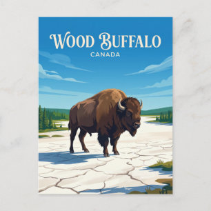 Wood Buffalo National Park Canada Postcard