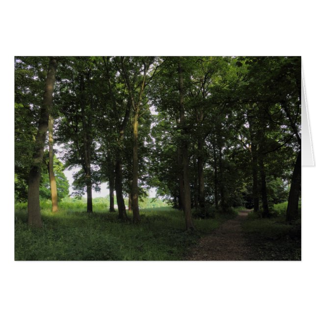 Wood, Bute Park Cardiff (Front Horizontal)