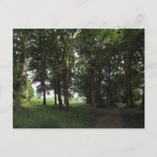 Wood, Bute Park Cardiff Postcard (Front)