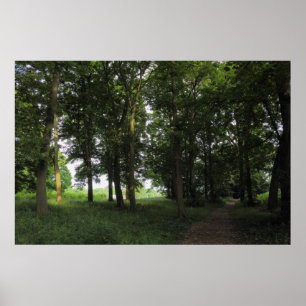 Wood, Bute Park Cardiff Poster