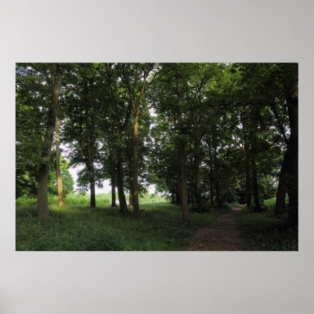 Wood, Bute Park Cardiff Poster (Front)