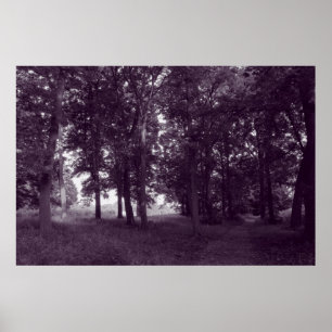 Wood, Bute Park Cardiff - Purple toned BW Poster