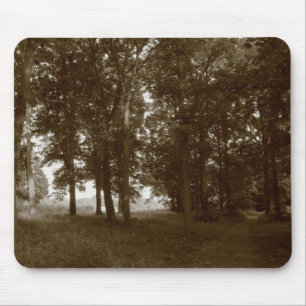 Wood, Bute Park Cardiff - Sepia toned BW Mouse Pad