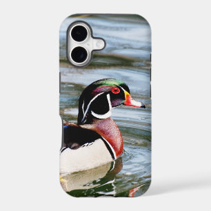 Wood Duck