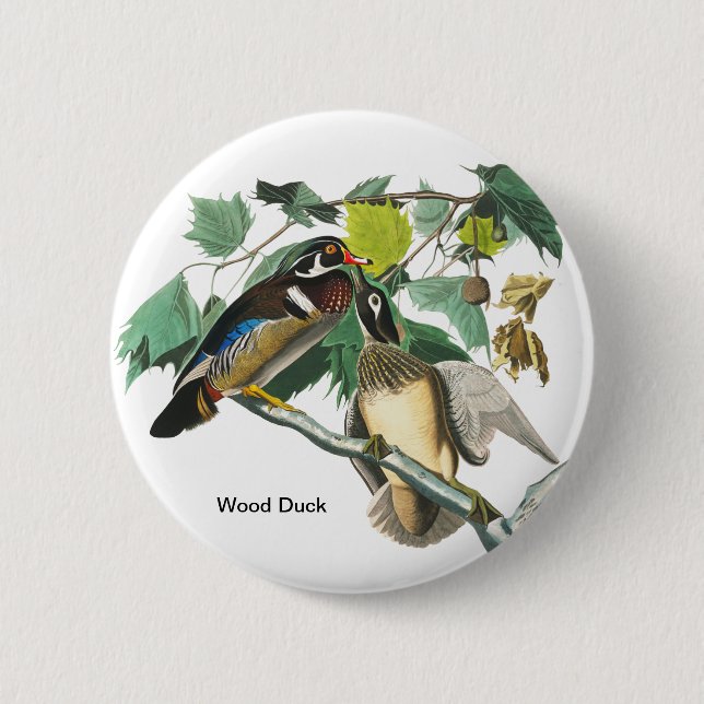 Wood Duck by John James Audubon, Birdwatcher Bird 6 Cm Round Badge (Front)