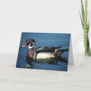 WOOD DUCK CARD