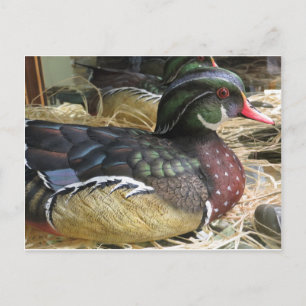 Wood Duck Carving Postcard