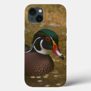 Wood Duck iPhone 13 Case