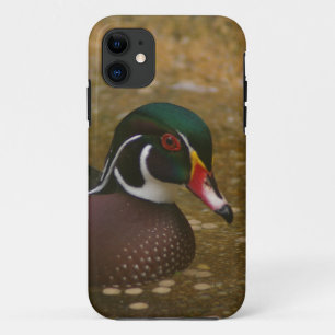 Wood Duck iPhone 11 Case