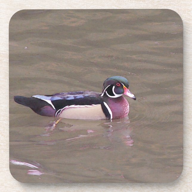 Wood Duck coaster (Front)