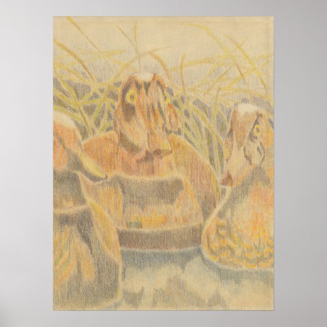 Wood Duck Decoys on Pond Poster (Front)