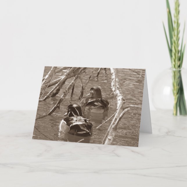 Wood Duck Drake and Hen in Sepia Card (Front)