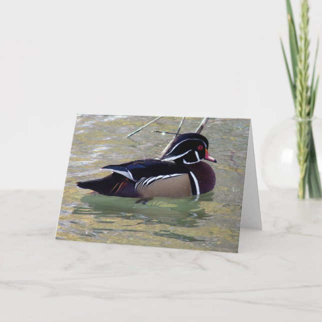 Wood Duck Drake Card (Front)