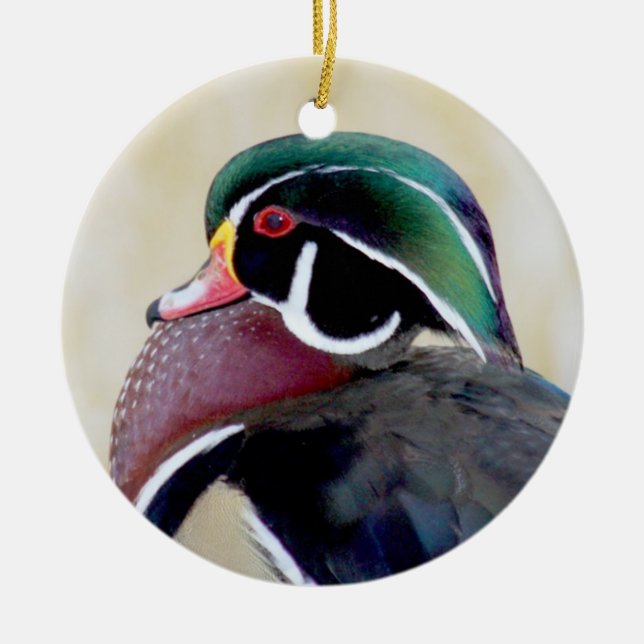 Wood Duck Drake Ceramic Tree Decoration (Front)