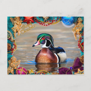 Wood Duck Drake Christmas Card