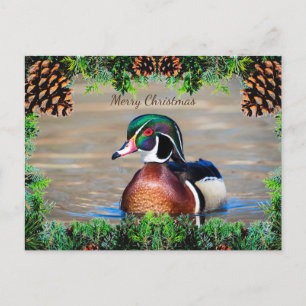 Wood Duck Drake Christmas Card